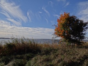 Herbstlaub Gnitz